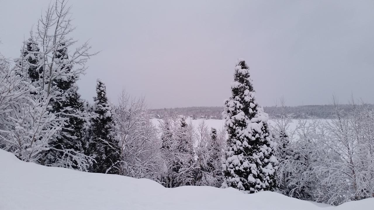 Residence Touristique Lodge Des Bois Saint-Félix-d'Otis Exteriör bild